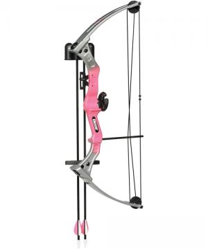 Bear Youth Bows BRAVE 3 Pink with BISCUIT RH AYS200PR