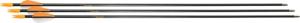 Bear Archery Youth Safetyglass Arrows 28'' 3pk 754806128146
