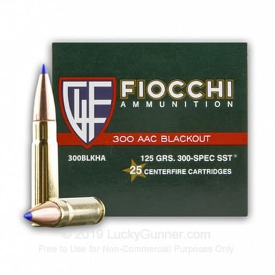 300 AAC Blackout - 125 Grain SST - Fiocchi Extrema - 25 Rounds 300BLKHA