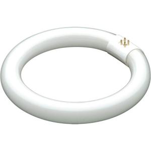 Woodstock Extra Bulb for D3252, D3255