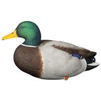 Avian-X AXP Full Body Mallard Decoys, 6 Pack 14040214063614-2119549