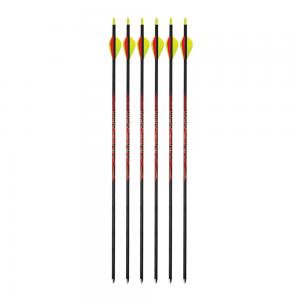 Black Eagle Outlaw 500 Spine Fletched Arrows (.005”, 6-Pack)