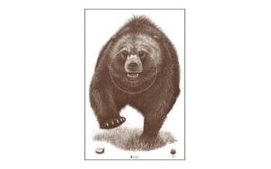 Action Target Alaska State Parks Bear Target 816506028482