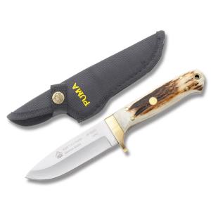 Puma Elk Hunter with Stag Handles and Stainless Steel 4" Spear Point Plain Edge Blades Model 6816050L