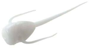 13 Fishing Paralyzer Panfish Plastics Soft Bait, 6, 5in, White, PL-W