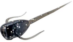 13 Fishing Paralyzer Panfish Plastics 6 Baits Per Pack, Black Magic, 0.5, PL-BM