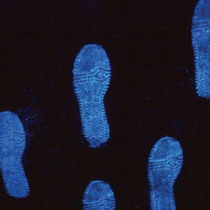 LIGHTNING LUMINOL 16 OZ 4-7820