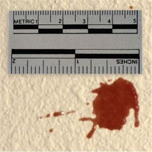 Forensics Source Adhesive Black Scales, 50 - 6-3848