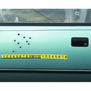 Forensics Source Large Number Continuous Tape - 6-3856