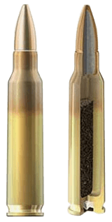 Radikal Precision 5.56x45mm NATO/ 2000 Per Box 850030381637
