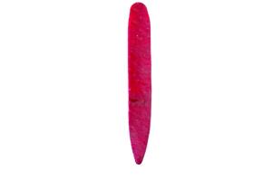 Otter Straight Long Tails, Red, 5 1/8in, 8/Jar, SLR