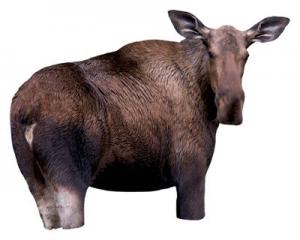 Montana Decoy - Moose II Decoy 1304020531307-2017585