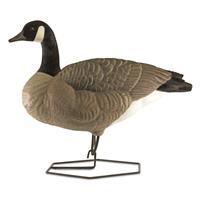 DOA Decoys Rogue Series Full-Body Canada Goose, 6 Pack 852721003606