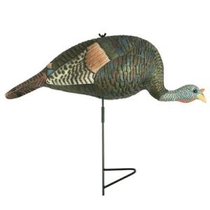  Bugging Hen Decoy 854036008635