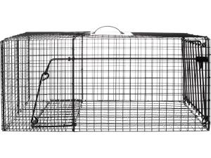 Bridger HD Raccoon Live Trap - 843639