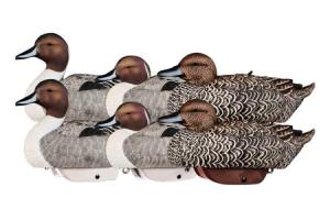 LIFETIME DECOYS HydroFoam Pintails 6-Pack 858706004705