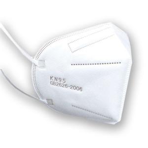 KN95 Mask 10 Pack 860003871522