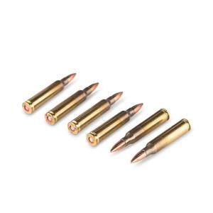 Igman .223 Remington, 55 Grain, Full Metal Jacket, Brass Cased, Centerfire Rifle Ammo, 20 Rounds, LREM223 LREM223