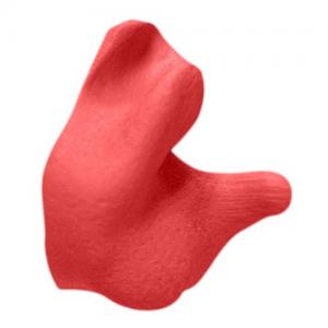 Radians CEP001-R Custom Molded Earplugs (Red) 899975787760