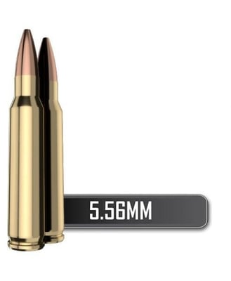 SSA 5.56mm 70 Grain Barnes TSX Ammunition (BLEM) - 20ct - $$12.50