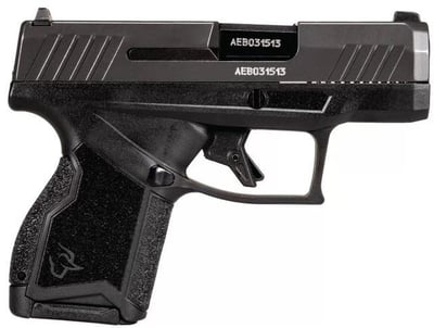 Taurus GX4 Black / Grey 9mm 3.7" Barrel 10-Rounds 2 Mags - $230
