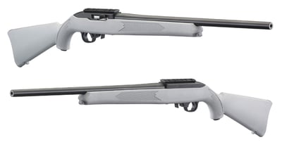 Ruger 10/22 Carbine .22 LR Rifle, Gray - 31139 - $189.99 