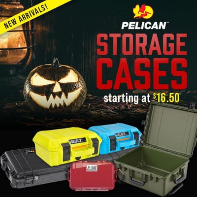 Flash Sale: Up to 65% off Pelican hard cases! from $29.95 (Free S/H over $25)