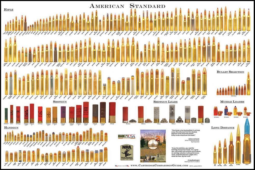 Ammo Size Chart Poster