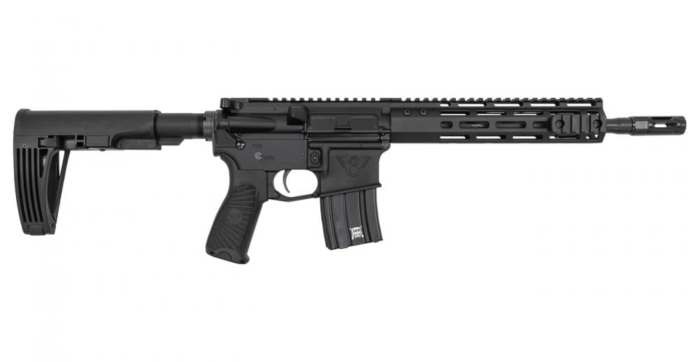 Wilson Combat Protector 300 HAMR AR-Pistol with M-LOK Handguard - $1671.23