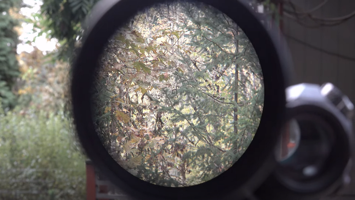 primary-arms-r-grid-2b-field-of-view