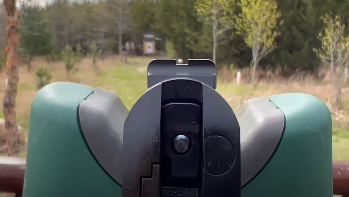 tisas-1911-a1-sight-picture