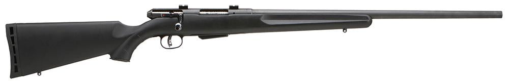 Savage Arms 25 222 Remington