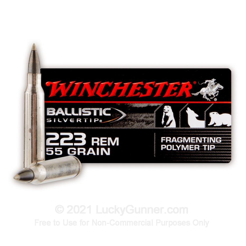 223 Remington Winchester 55 Silvertip SBST223B