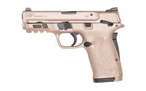 Smith & Wesson M&P 380 Shield EZ 380 ACP