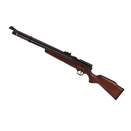 Beeman .22 Pellet