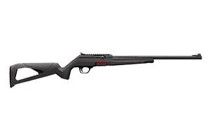 Winchester Wildcat 22 LR