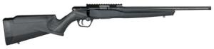 Savage Arms B22 Magnum FV-SR 22 WMR