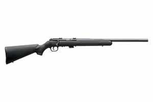 Savage Arms Mark II-FV 17 HM2