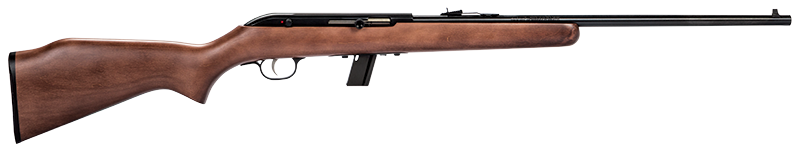 Savage Arms 64 G 22 LR