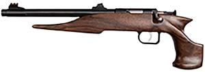 Crickett Hunter Adult 22 WMR