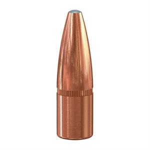 Speer Ammo Rifle Hunting Grand Slam 2038