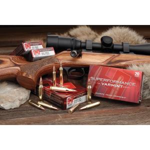 Hornady Ammunition Superformance .17 Hornet 20 Grain V-MAX Brass Cased Centerfire 25 Rounds 83005