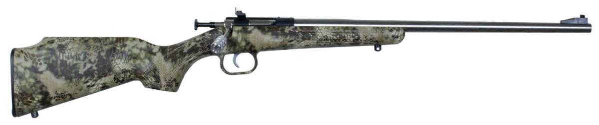Crickett 22 LR