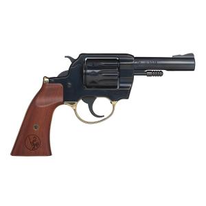 Henry Arms Golden Boy 22 LR