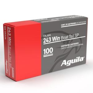 Aguila .243 Winchester 100 gr BTSP 20rds Rifle Ammo for Precision Target Shooting - 8047AG