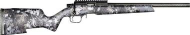 Christensen Arms Ranger 22 LR