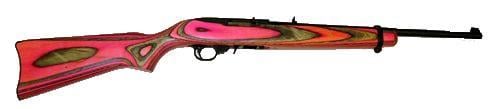 Ruger 10/22 Carbine 22 LR