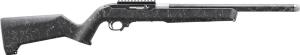 Ruger 10/22 22 LR