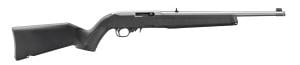Ruger 10/22 22 LR