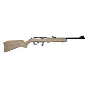 Rossi-braztech RS22 22 LR